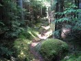 Hiking-Trail-1