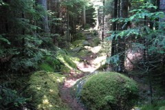 Hiking-Trail-1