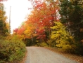 grants-camps-fall-foilage-hunting