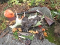 grants-camps-hunting-rod-reel