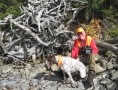 grants-camps-man-hunting-dog