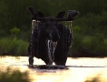 grants-camps-kennebago-lake-bull-water